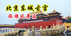一级操比黄片中国北京-东城古宫旅游风景区